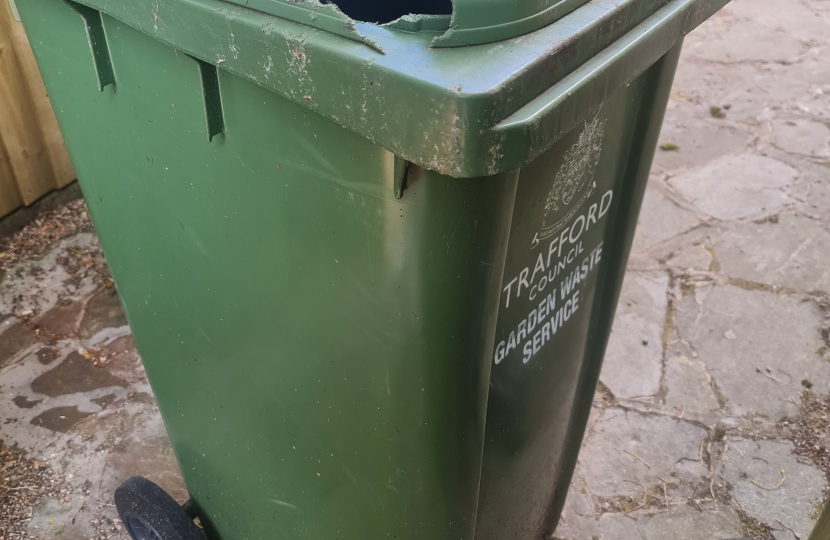 green bin