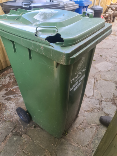 green bin